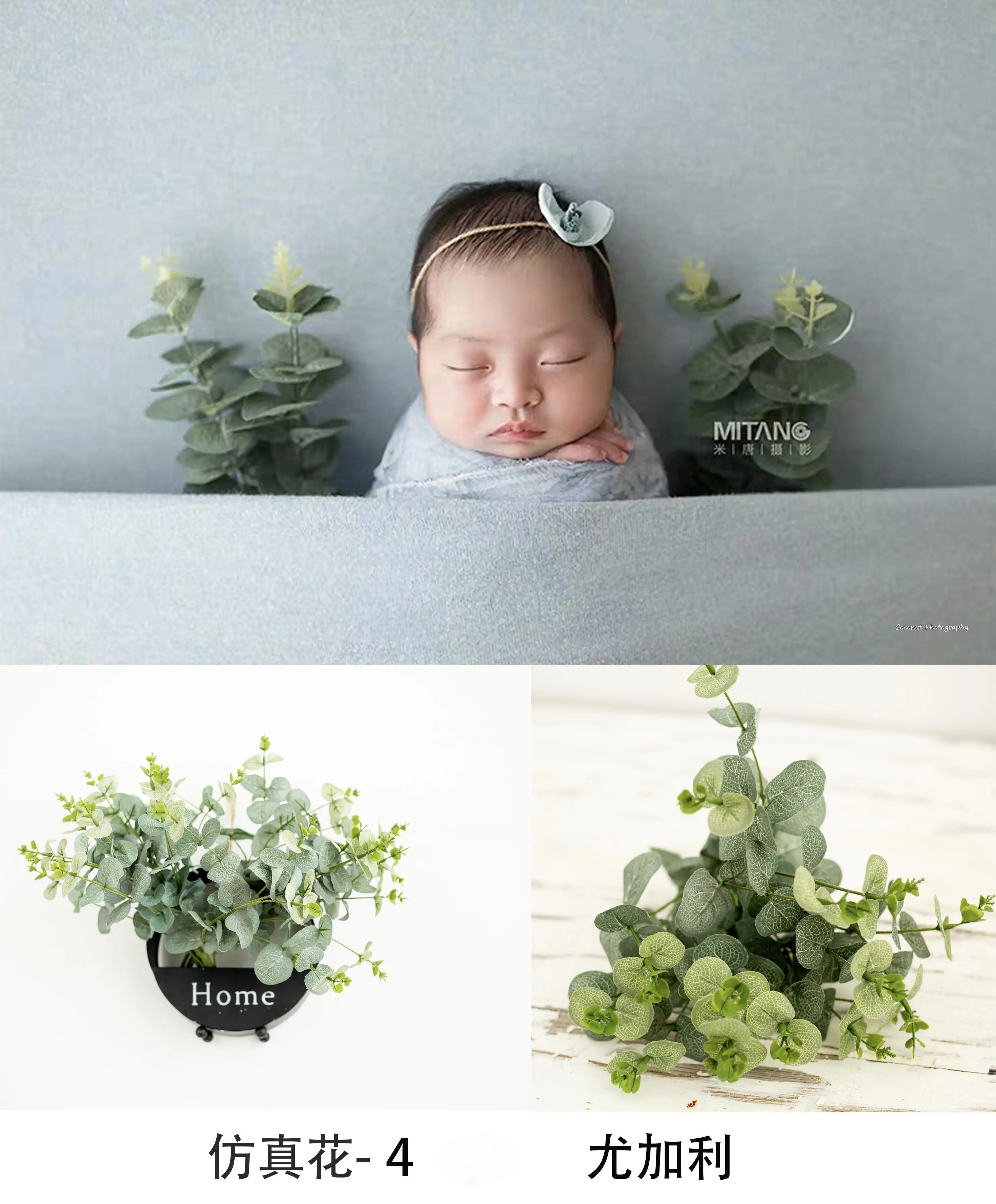 Coconut newborn photography props Simulation flower eucalyptus lobular hydrangea rabbit ear leaf eucalyptus fruit millet flower