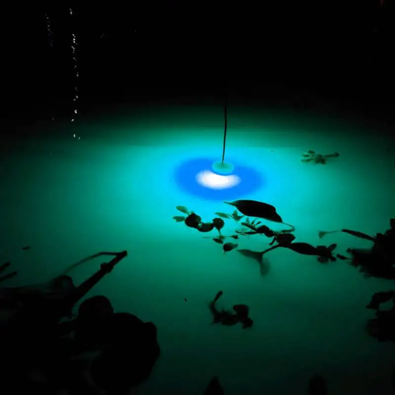 Mini luz LED de pesca nocturna, lámpara de atracción de peces subacuática, señuelo de pesca colorido, luz intermitente, cebo de calamar