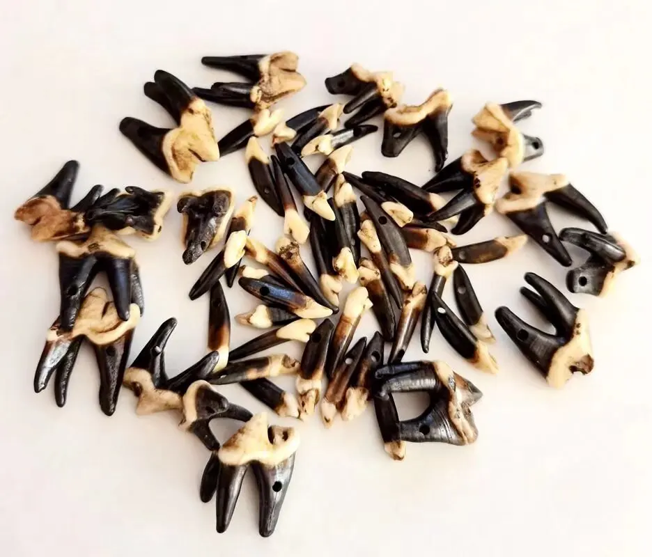 

50 pcs real tooth jewelry mixed style teeth pendant