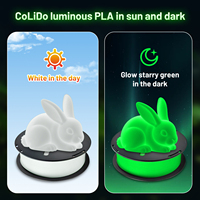 CoLiDo Glow in The Dark PLA Filament Neatly Wound Luminous PLA Filament 1.75mm +/- 0.02mm 1KG Filament Fit Most FDM 3D Printers