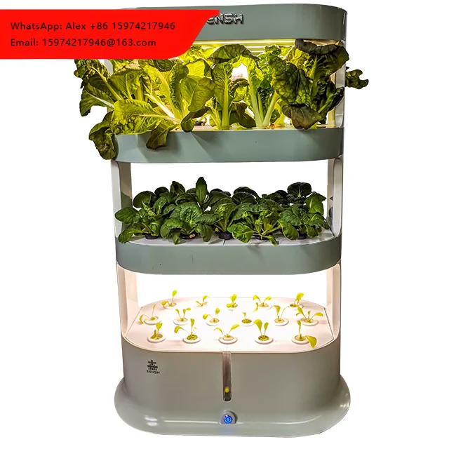 SENSH New High Quality Grow Cabinet Hydroponic Strawberry Pp Material Hydroponic System With Nutrient Solution
