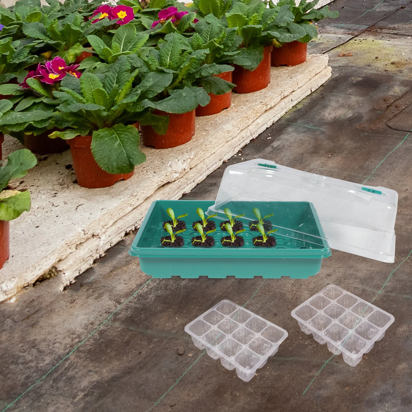 Zestaw do kiełkowania roślin, taca do sadzenia nasion z 12 otworami do warzyw, kwiatów i owoców, utrzymująca wilgoć i ciepło, szybka.