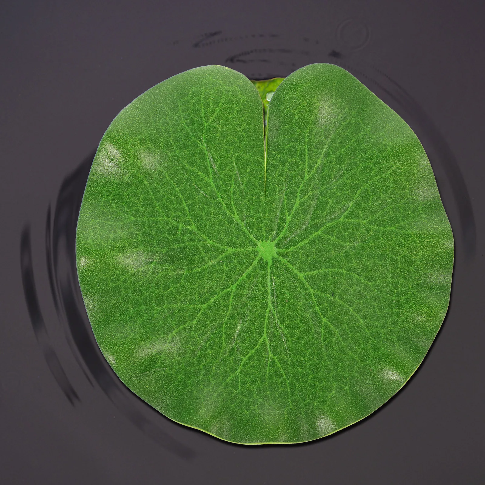 6 Stück künstliche Lotusblätte – Aquarium Fish Green Bewertung und Preis
