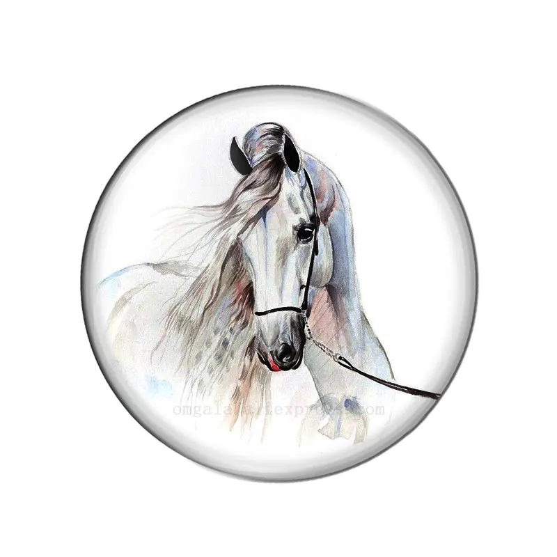 New Horse Art Paintings 10pcs/lot Mixed 10mm/12mm/16mm/18mm/25mm Round Photo Glass Cabochon Demo Flat Back Making Findings