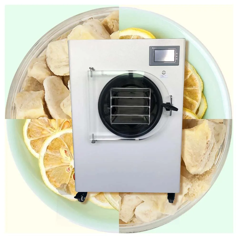 Vegetables Fruit Vacuum Freeze Dryer Mini Lyophilizer Food Freeze Drying Food Dehydrator for Household