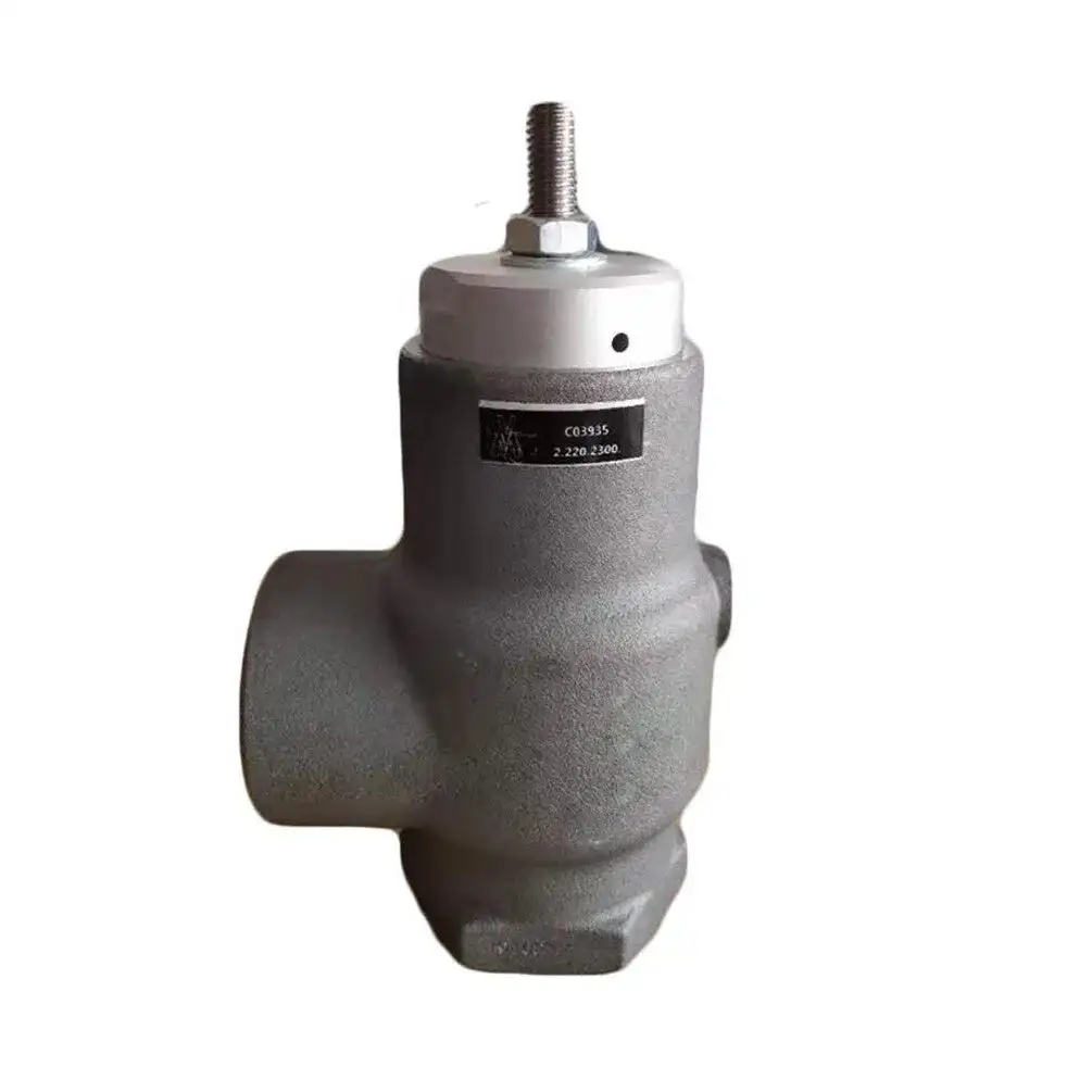 

Minimum Pressure Valve 2205469300 for Atlas Copco Compressor 2205-4693-00