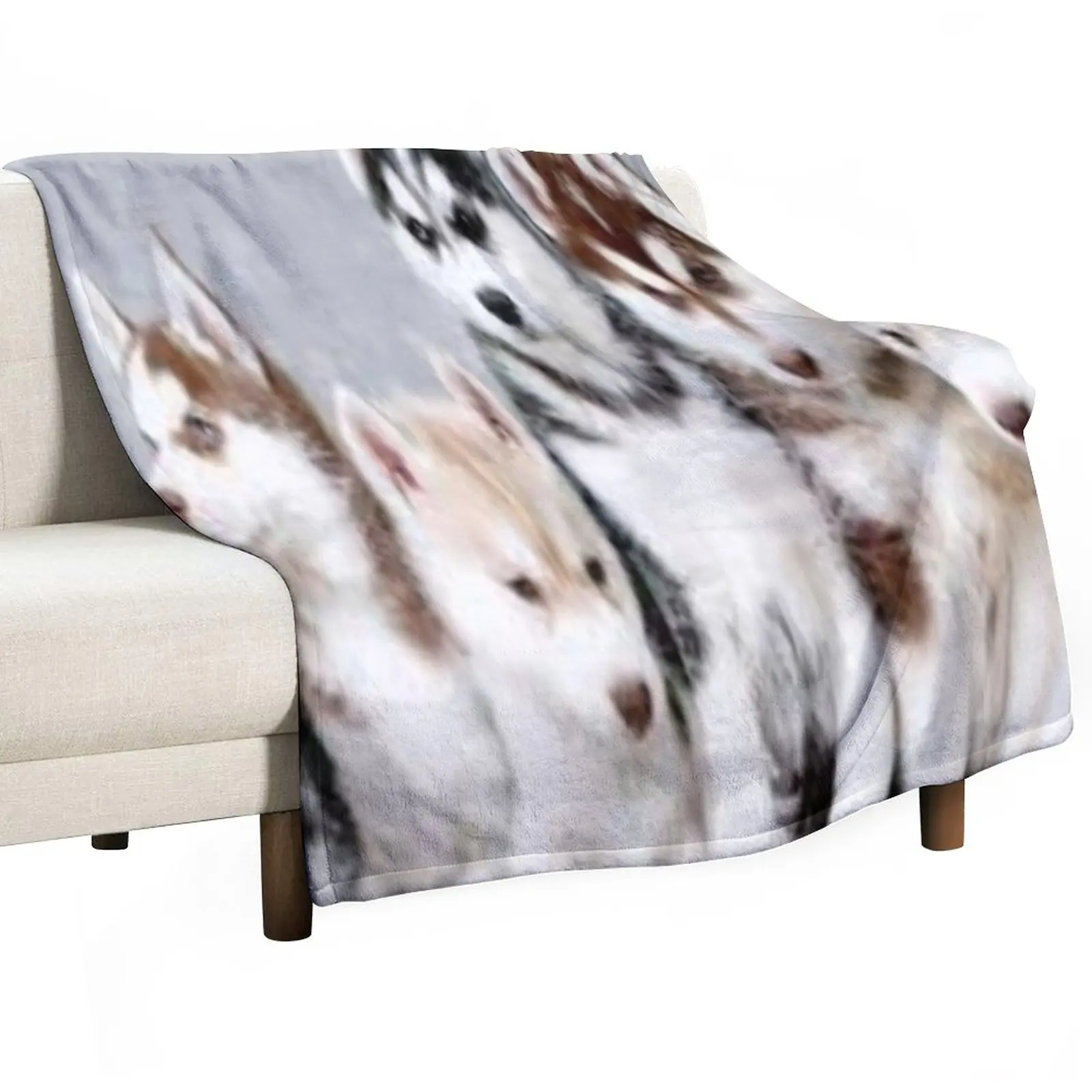 

cute husky puppies Throw Blanket For Sofa Thin Blanket