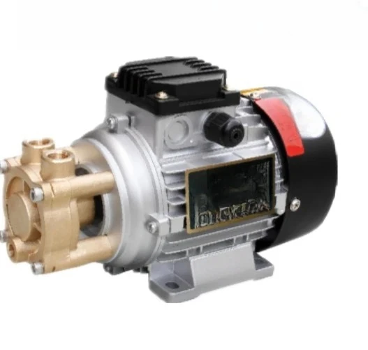 Magnetic oil pump WD-021 vortex pump 07 10 20 33 hot water  no leakage