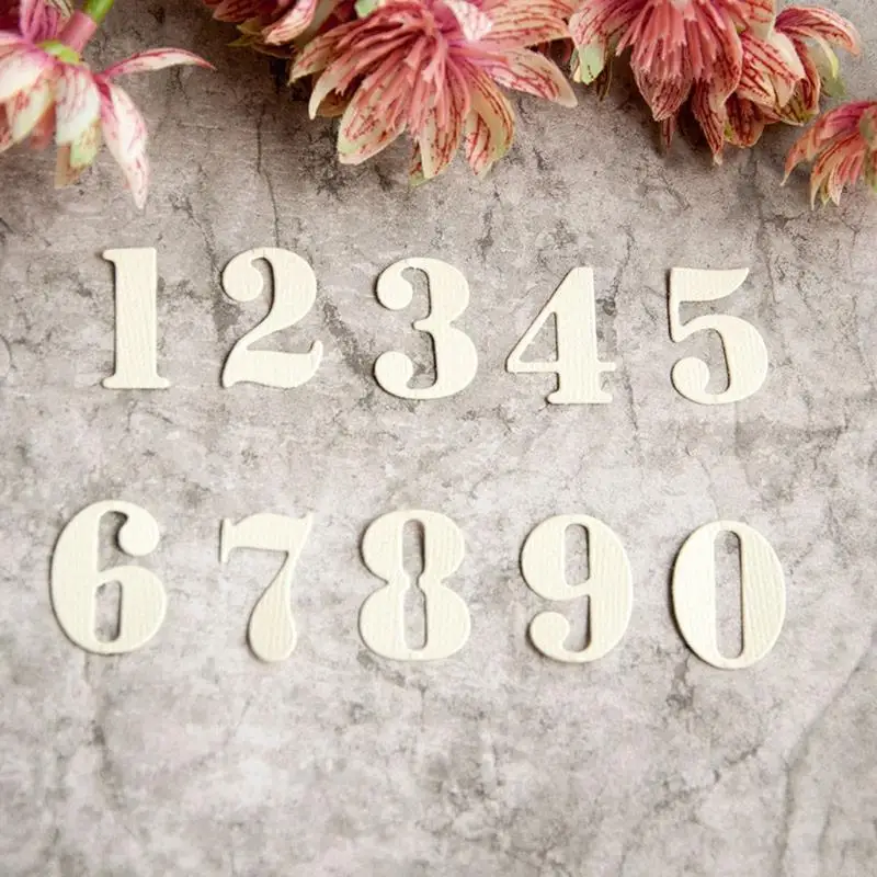 U6XC -Nummer Schnittstirb