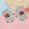 Gray ladybird