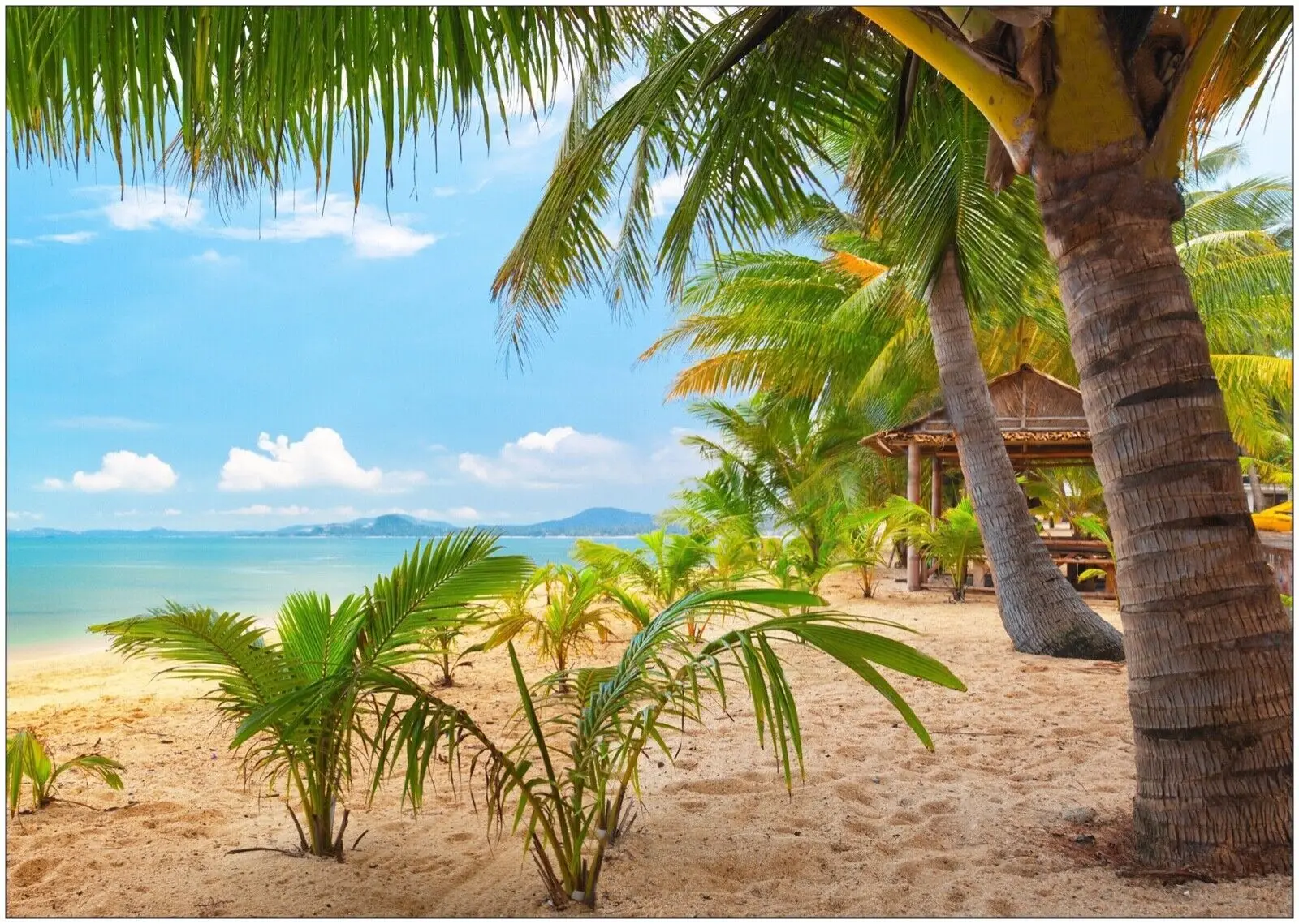 

Tropical Beach Palms Florida Landscape, Art Picture Print Silk Poster, Home Wall Decor