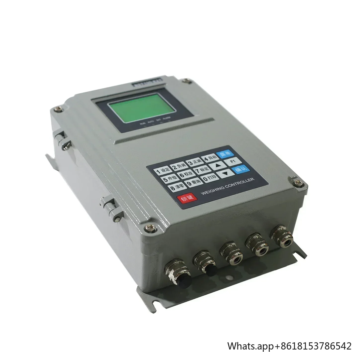 Batching Scale Weight Control System Indicator Weighing Controller BST100-E21