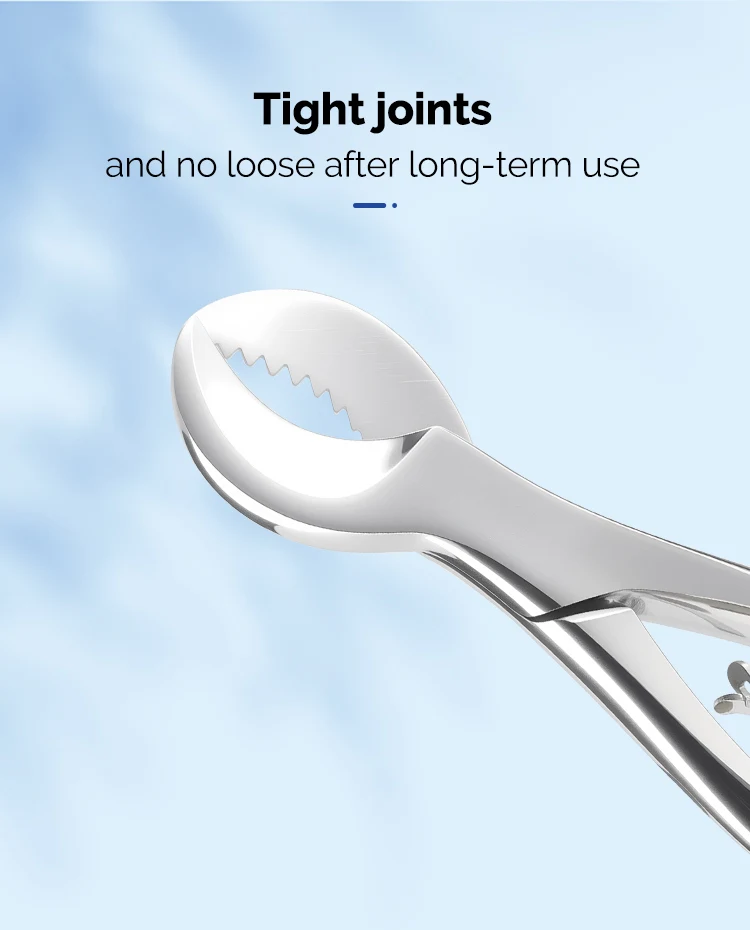 AZDENT Dental Gipsschere Schere Edelstahl Pinzette Instrument Gips Gips Zange Zahnmedizin Zahnarzt Labor Werkzeuge – Detail 5