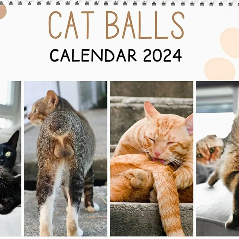 Calendario divertido para gato, 1 piezas, regalo divertido, para glúteos, 2024 como se muestra, testículos para gato, elefante blanco