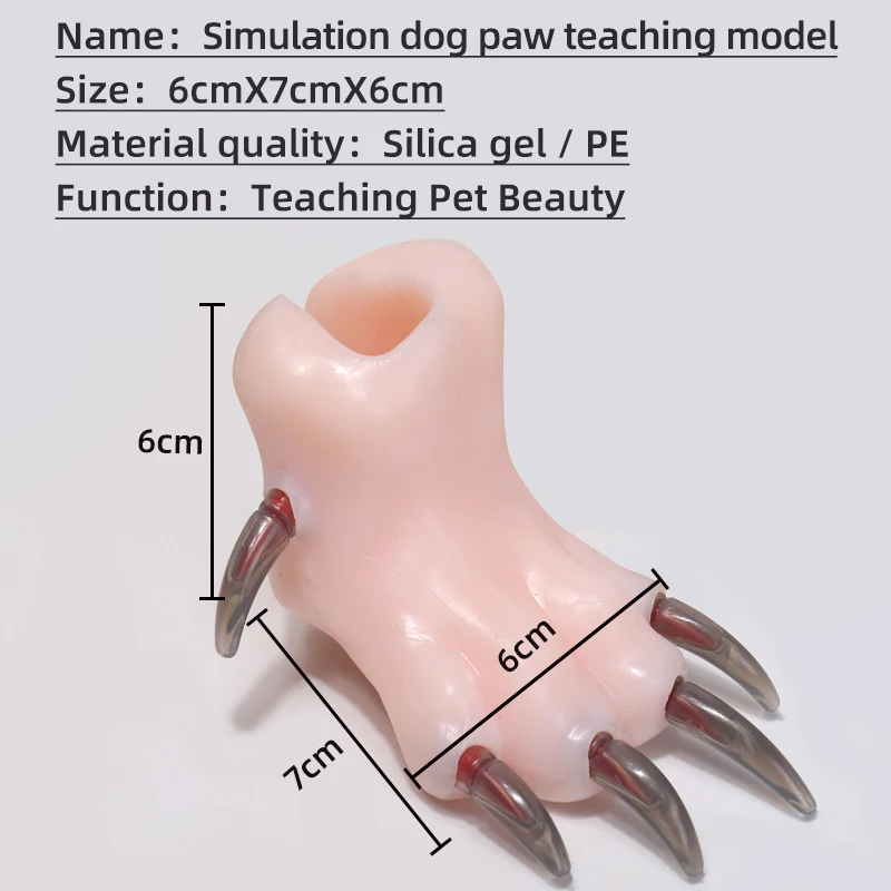 Silikonowy model do nauki łapy psa, nauczanie szkoły kosmetycznej dla zwierząt domowych, kosmetyczki dla młodszych zwierząt praktyka cięcia gwoździ