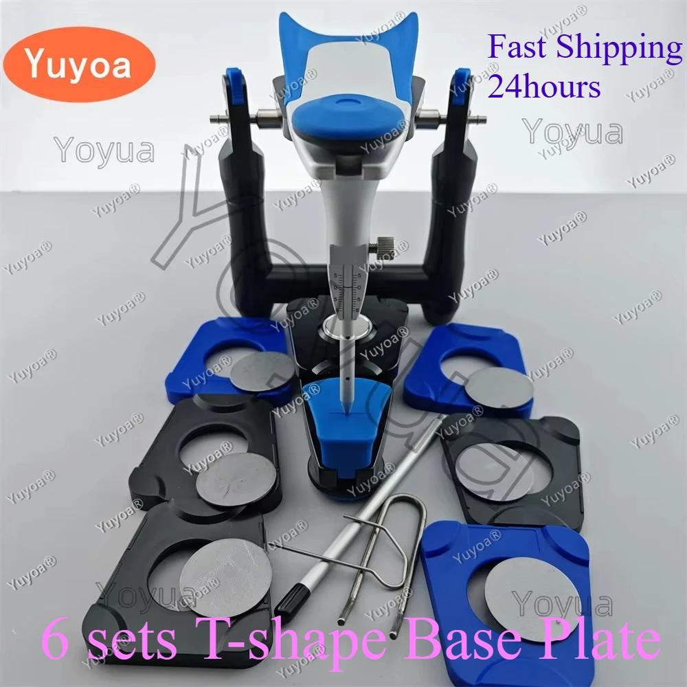 Dental BN Model Functional Articulator with 6 sets T-shape Base Plate Teeth Model Accurate Scale Plaster Model Equipment