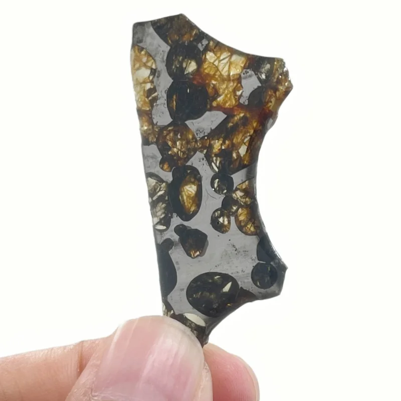 eymchan Pallasite Meteorite Polished Small Irregular Slice Natural Olivine Inclusion Space Rock Display Specimen CA112