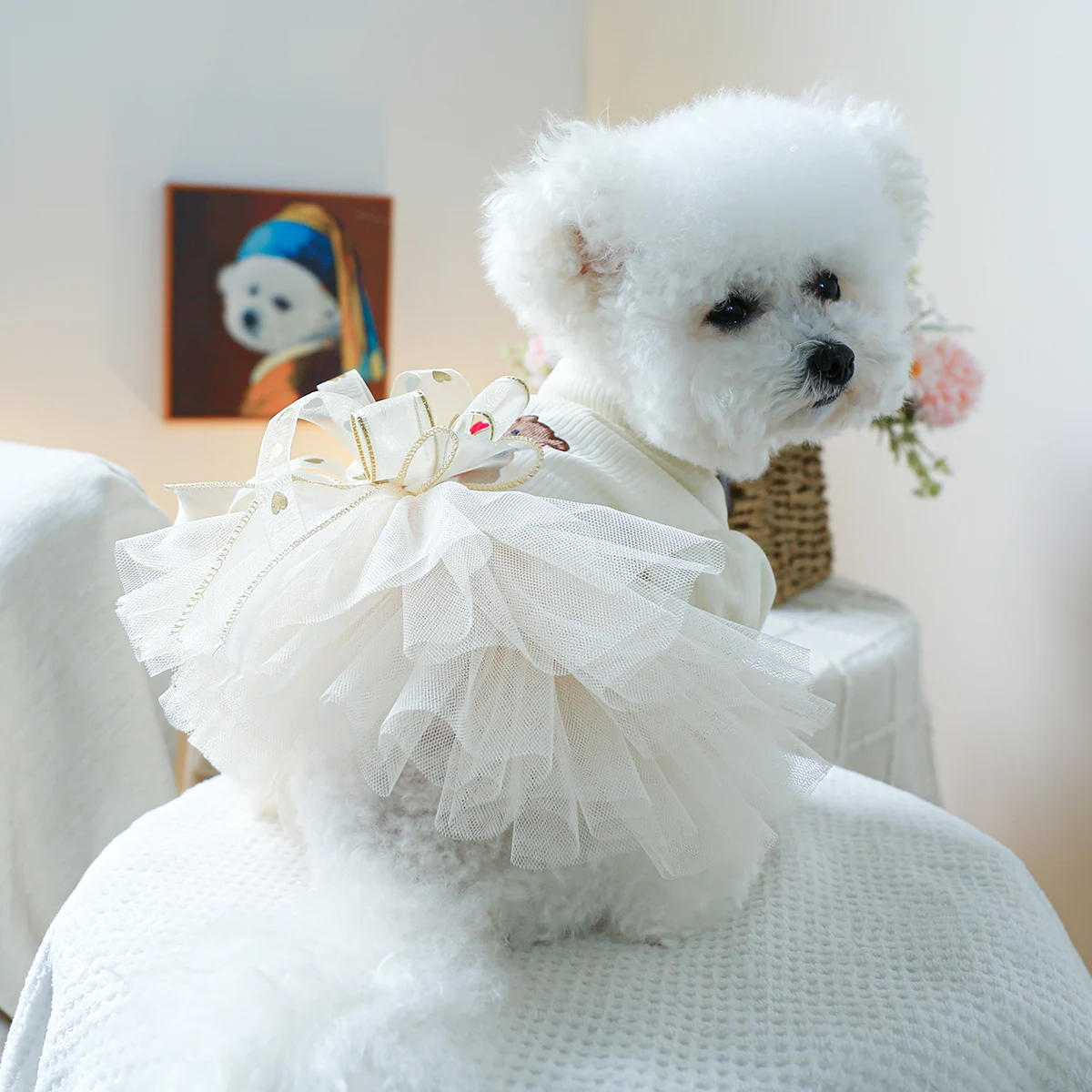 1PC Pet Clothing Spring and Autumn Wedding Bear Wedding Dress Princess Dress Suitable for Small and Medium sized Dogs