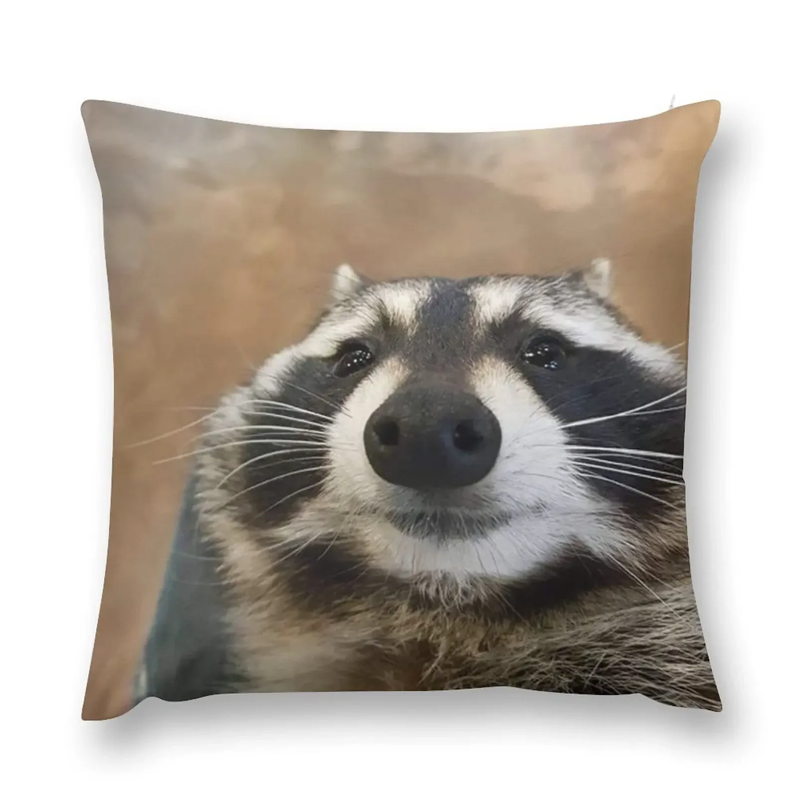 

Silly Raccoon Throw Pillow Pillowcases Decorative Sofa Cushion Sofa Pillow Cover Cushions For Children pillow