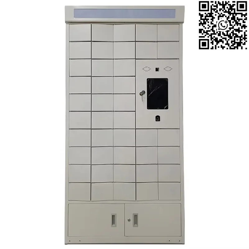 Outdoor Biometric Smart Locker Face and Fingerprint Recognition Electronic Lock Assembled Cabinet for Gym Spa Pool Use