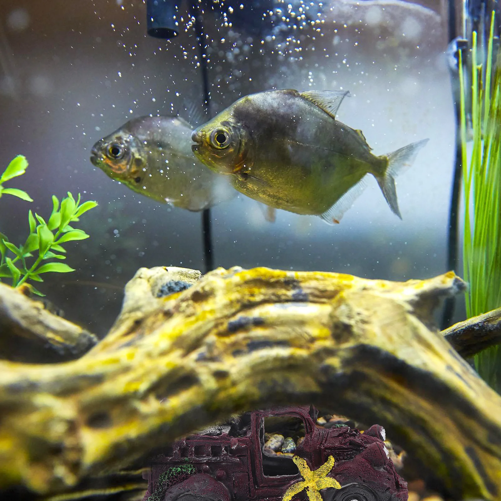 

Unique Resin Aquarium Car Ornament Large Fish Tank Decor Betta Hidden Cave Accessory Betta Fish Tank Decor Aquarium Decorations