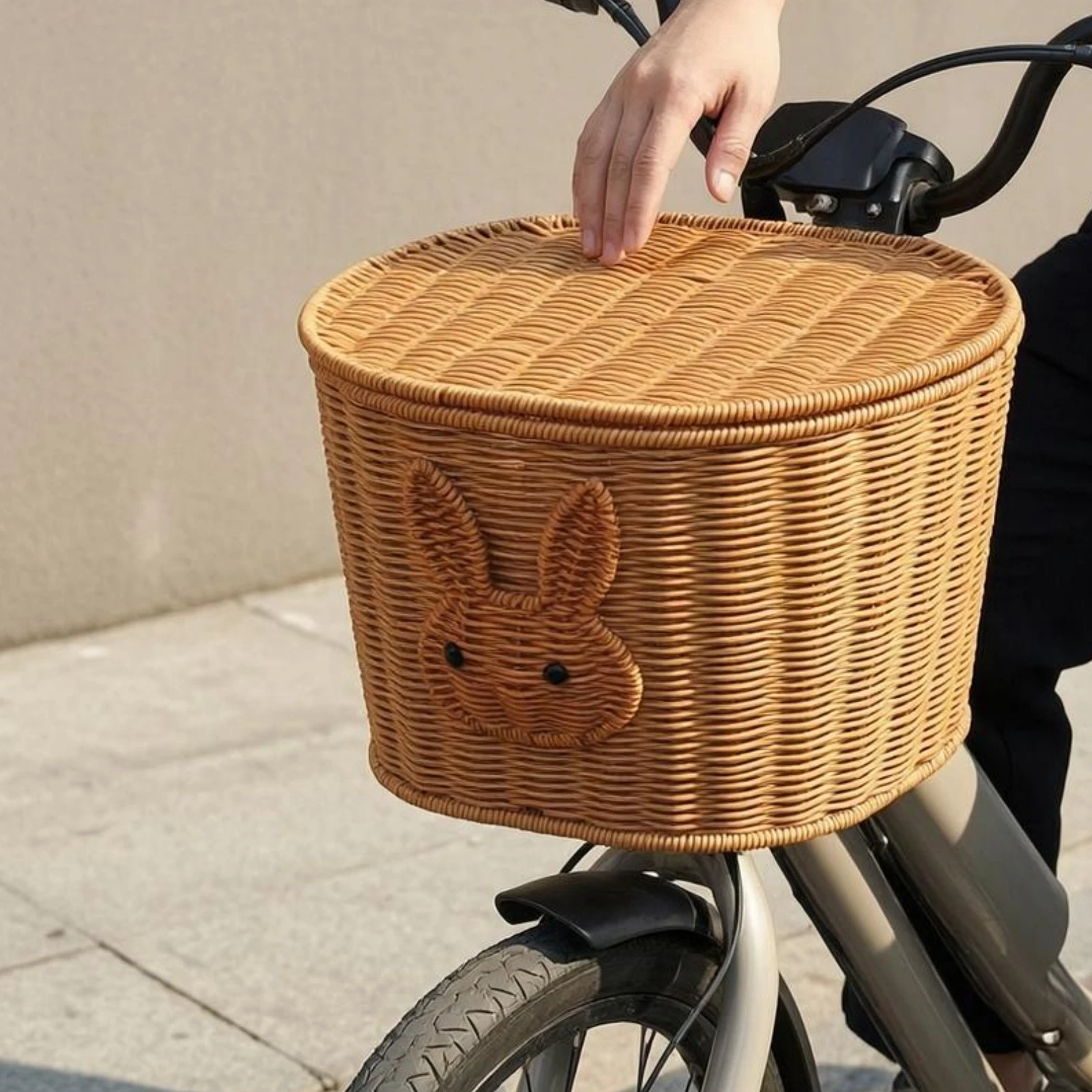 Fietsmand achterop met deksel  - Cycling Gear Rack recensie en prijs