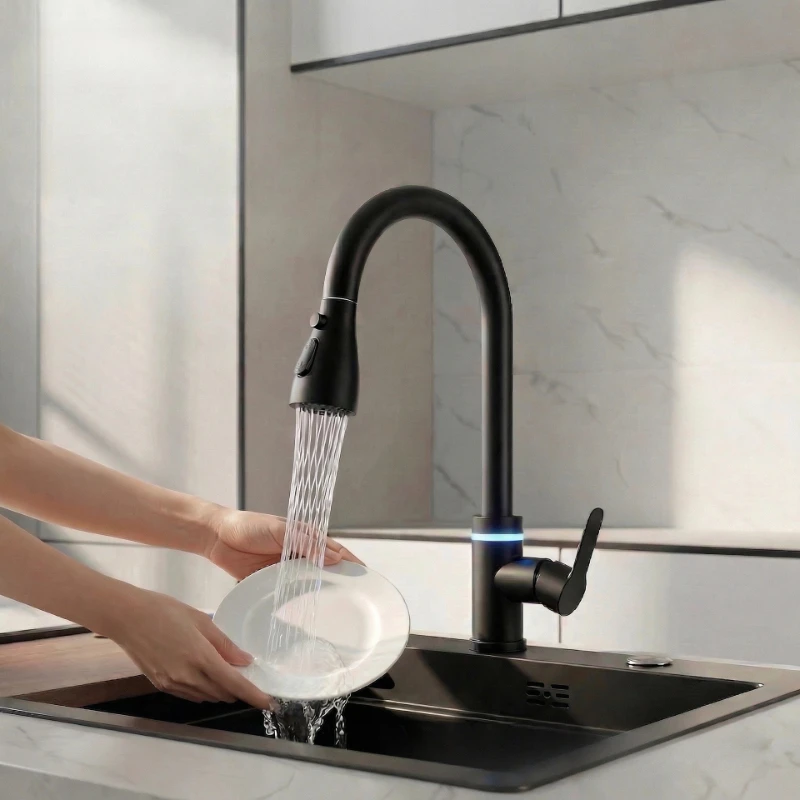 Stainless Steel Pull-Out Kitchen Faucet Equipped with Ambient Lighting Black Single Hole Hot and Cold Mixed Water Sink Faucet