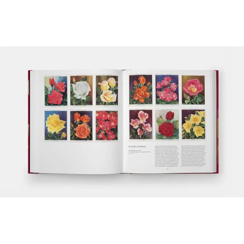 The Rose Book Publicaciones Phaidon Phaidon Press 9781838668808 Libro