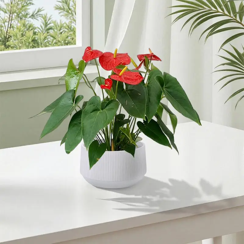 طقم أوعية زهور سيراميك مكون من قطعتين، مزارعي حديث للفناء أو الحديقة أو النوافذ - لمسة نهائية بيضاء لامعة للديكور الأنيق #1