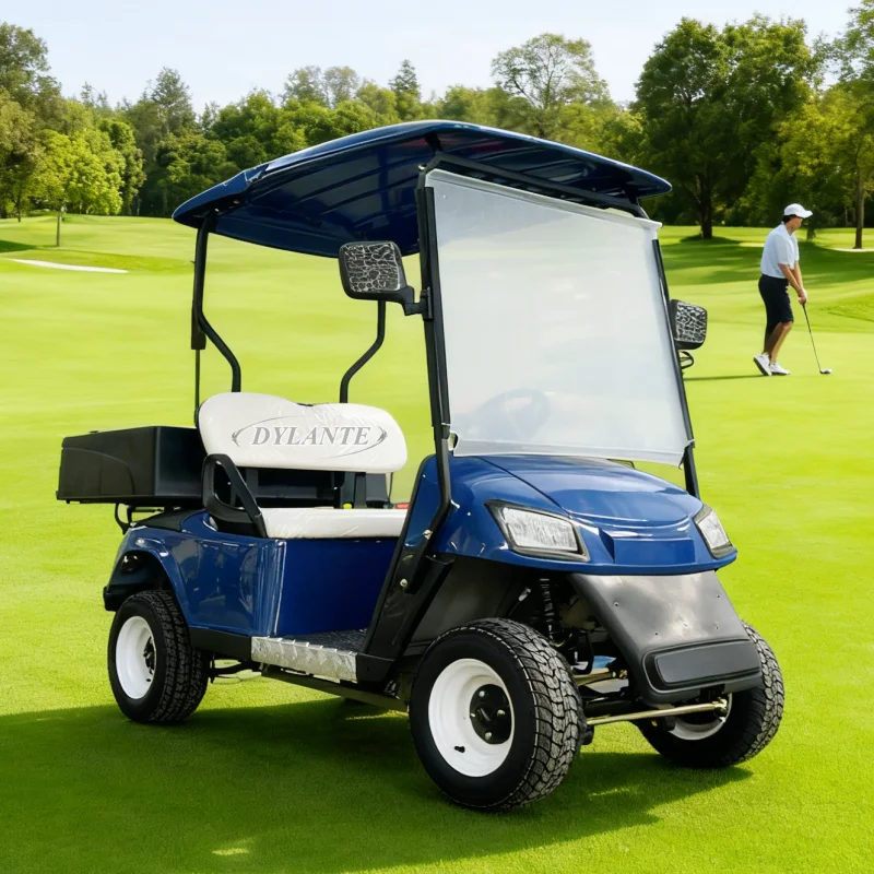 2025 نموذج جديد نمط 2 مقعد حافلة لمشاهدة معالم المدينة نادي عربة الغولف الكهربائية عربات التي تجرها الدواب عربة الصيد للبالغين مع صندوق البضائع #4