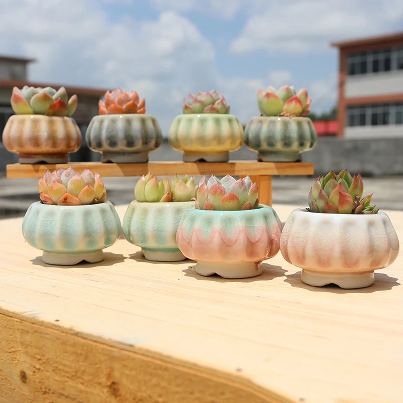 Creative Mini Ceramic Flowerpot Fresh Ice Crackle Pattern Succulent Plant Container Small Bonsai Pots Garden Home Ornaments Cute