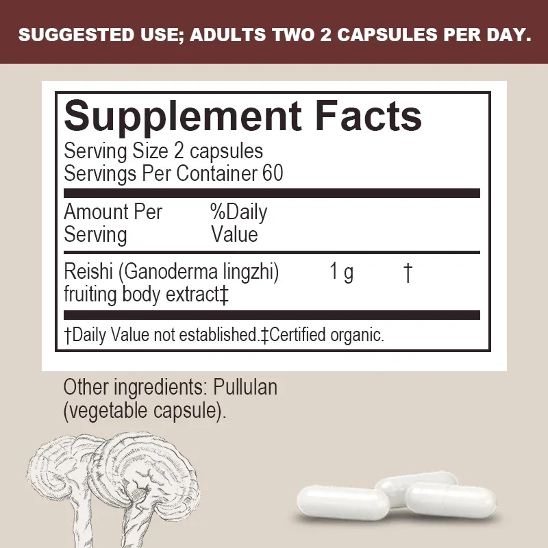 Reishi - Relieve Stress, Improve Sleep, and Enhance Immunity