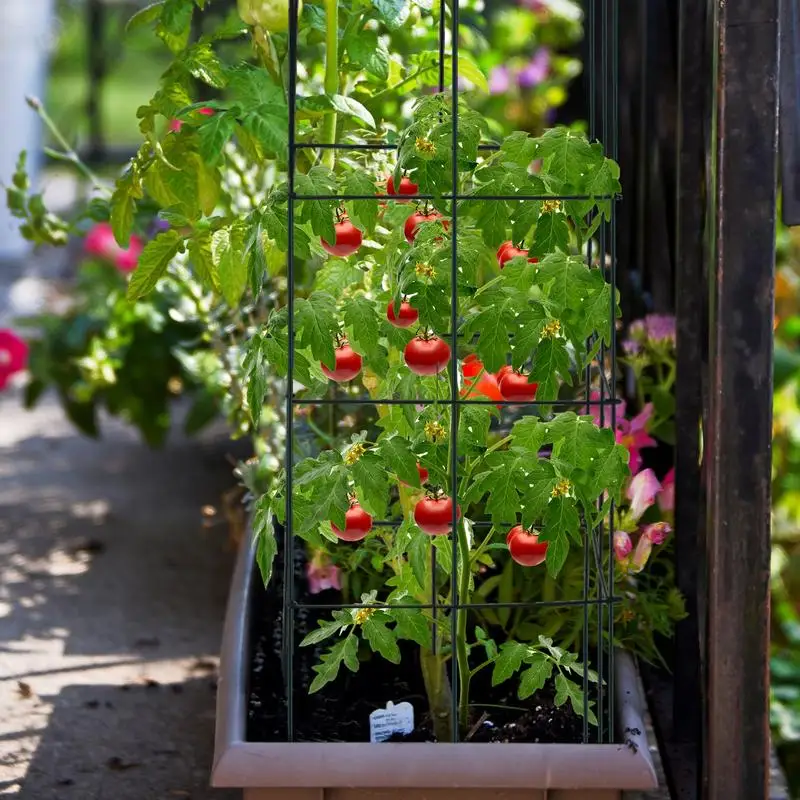 

4 Pack Garden Trellis for Climbing Plants for Flower Vegetable