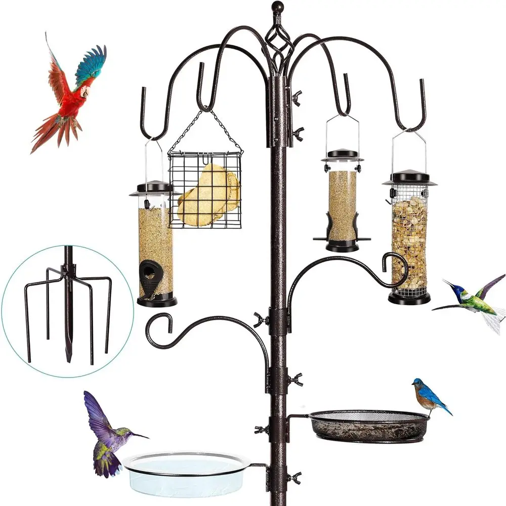 Multi-Feeder Bird F…