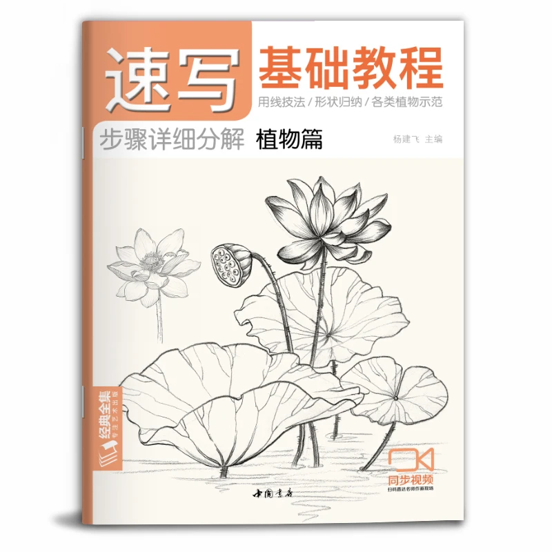 분홍색
