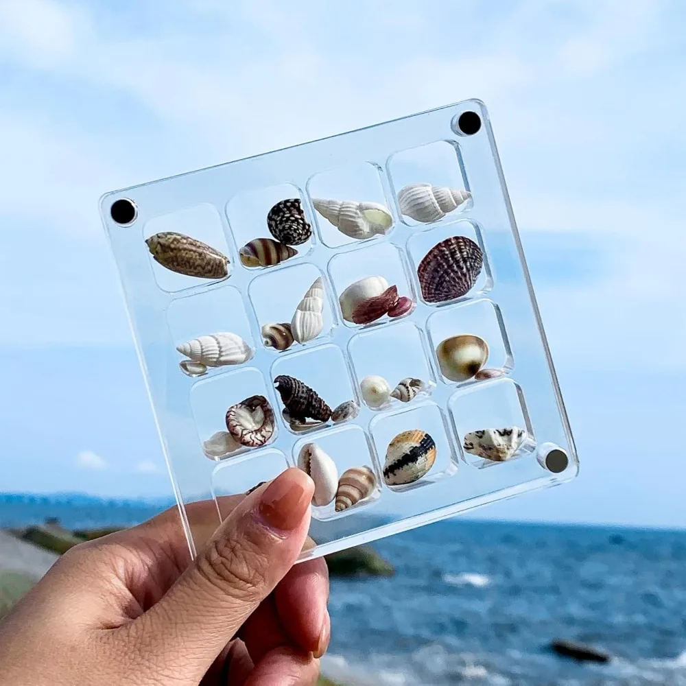 

16-Grid Seashell Display Box with Magnets Acrylic Storage Display Organizer Box Durable Starfishs Trinket Storage Case