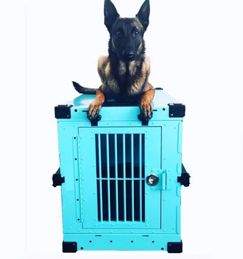 Foldable Aluminum Dog Crate, Portable Heavy Duty Pet Transport Cage for Car Travel, Collapsible Dog Kennel
