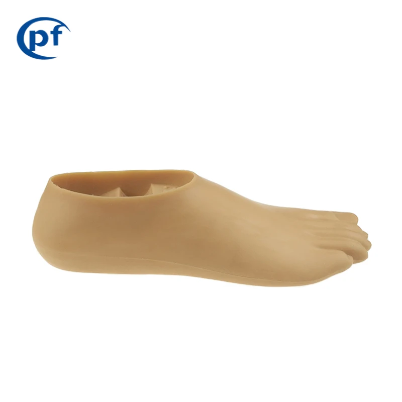 Best Selling Artificial Limbs Polyurethane  Prosthetic Foot Two Hole Double Axis Foot for Foot Prosthesis