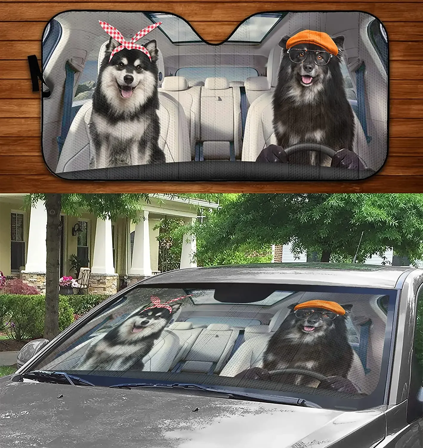 Funny Two Finnish Lapphunds Driving On Summer Car Sunshade, Finnish Lapphund Couple Driving Auto Sunshade Car Windshield Visor