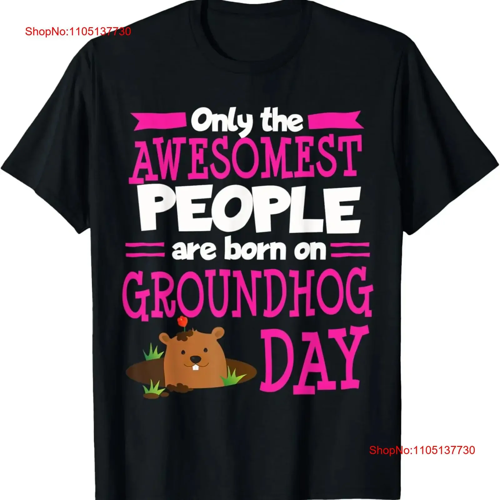 Groundhog Day 2020 Birthday Gag Funny Best Friend Son T Shirt  vintage Washed Stylish Breathable Slightly homme graphic