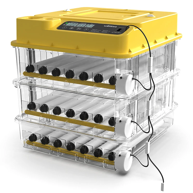 PetJoyZone Intelligent Mini Egg Incubators Fully Automatic 98 High Efficient Roller Tray Incubator