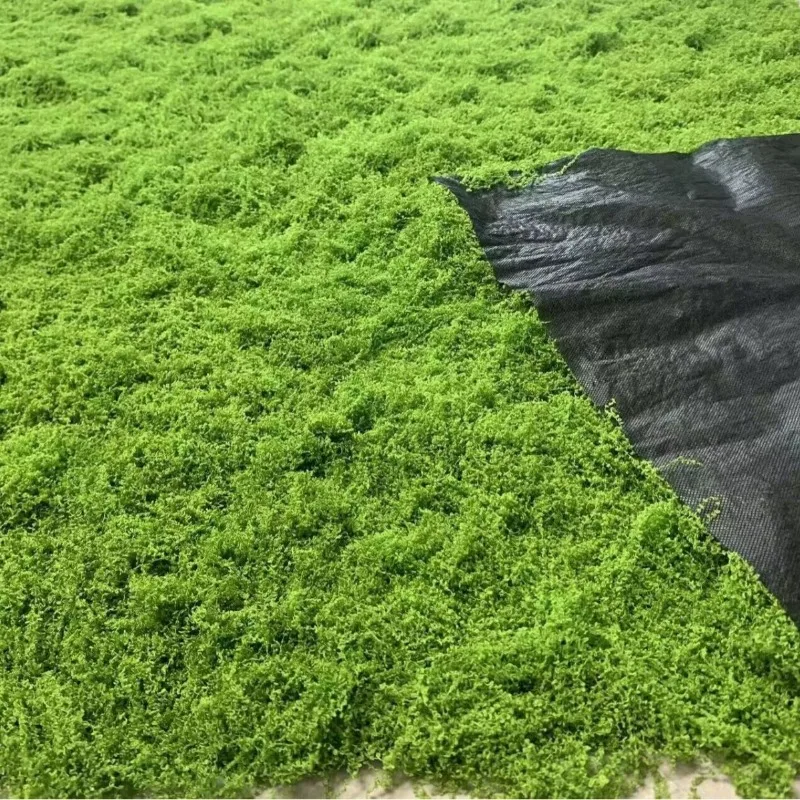 Simulation100cmx100cm Moss False Grass Carpet, Bionic Lawn Paving Accessory, DIY Micro Landscape Decor for Bonsai Indoor Outdoor