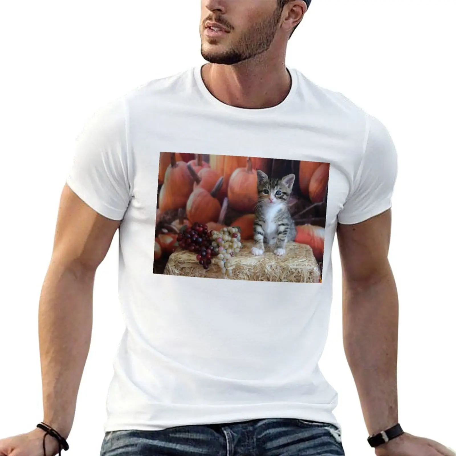 

KUMQUAT CAT in autumn/fall T-Shirt man t shirts high quality luxury brand cotton tshirt 100% T-Shirt