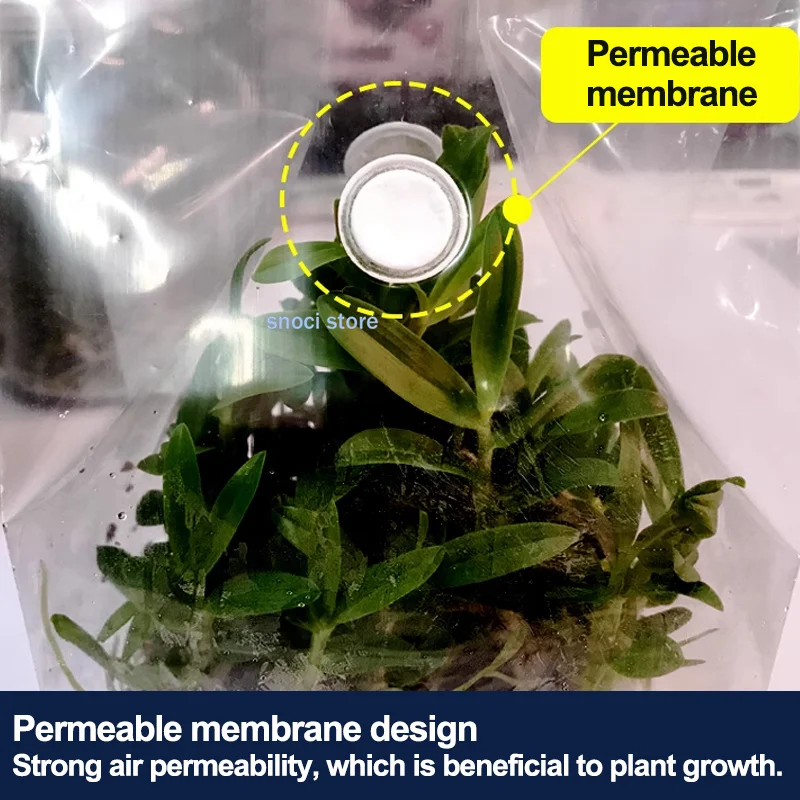 فيلم ختم ثقافة الأنسجة، فيلم ختم المختبر المقاوم لدرجات الحرارة العالية، لتجربة ثقافة الأنسجة والخلايا النباتية