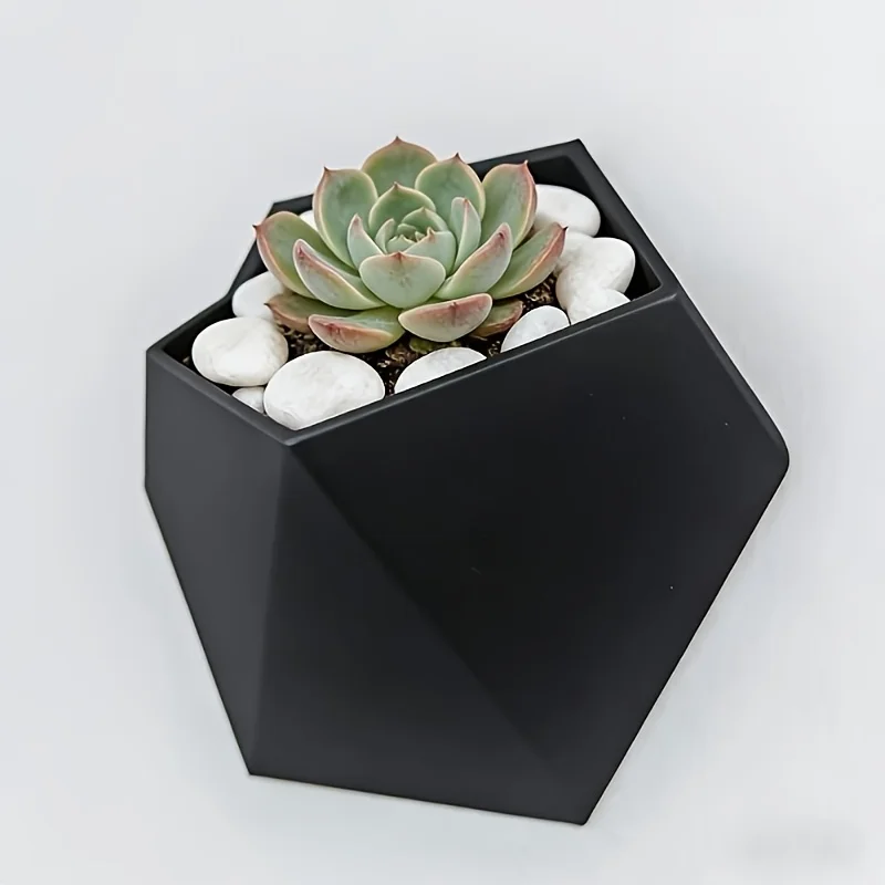 Geometric Hexagonal Wall Mount Planter, Matte Black Metal Wall Hanging Flower Pot, Modern Minimalist Wall Plant Holder