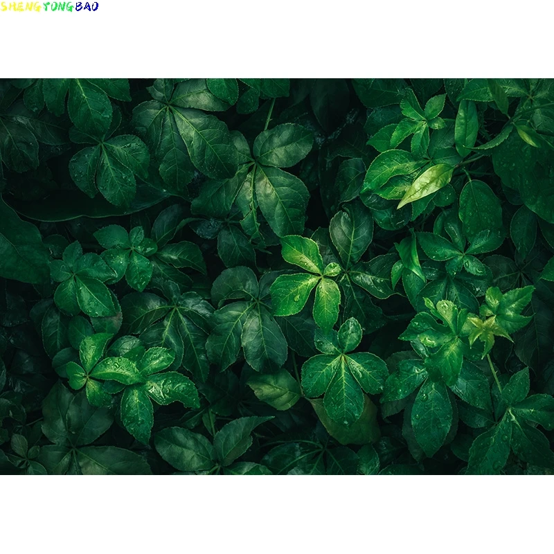 Tropical Jung Leaves Nature Scenery Photography Background Landscape Photo Backdrops Studio Props  21728 RDY-01