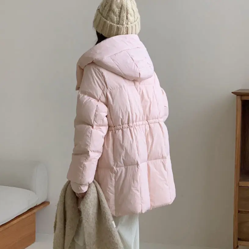 Nueva chaqueta de invierno para mujer, chaqueta de plumón de pato blanco de color caramelo a prueba de viento con capucha para ir al trabajo