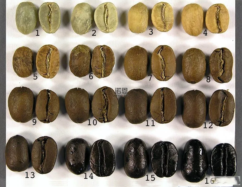 Máquina comercial de torrefação de grãos de café, 10kg, torrador de café, gás elétrico, máquina de cozimento de grãos de cacau com artisa