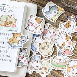 Mini Kawaii Adesivos de Meus Gatos Safados, Decoração Scrapbooking, Álbum Diário, Material Escolar, Papelaria Adesivos, DIY, 45 Pcs por Caixa