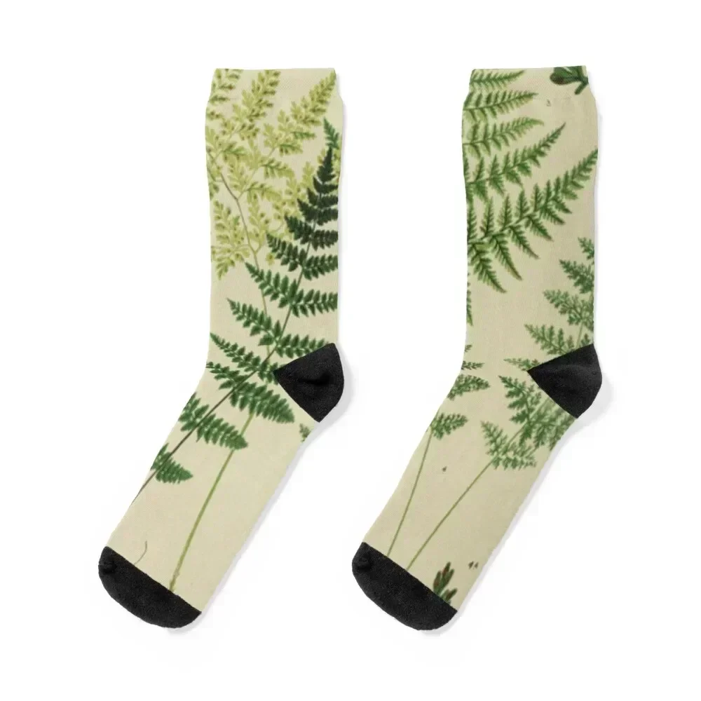

Botanical Ferns Socks cartoon winter funny sock custom Socks Female Men's